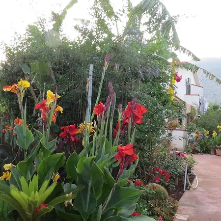 Il Roseto Di Betty E Salvo