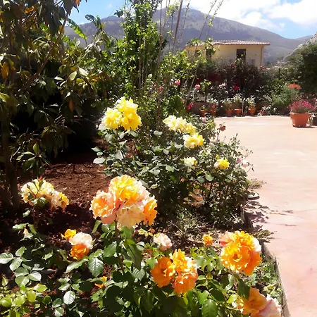 Il Roseto Di Betty E Salvo Holiday home Palermo