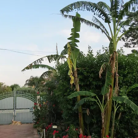 Holiday home Il Roseto Di Betty E Salvo