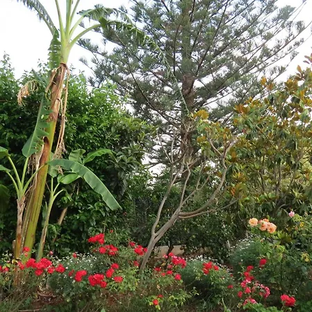 Il Roseto Di Betty E Salvo Holiday home Palermo