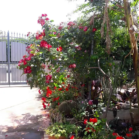 Il Roseto Di Betty E Salvo