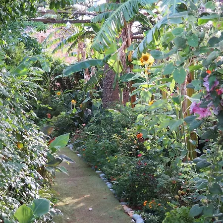 Il Roseto Di Betty E Salvo Holiday home